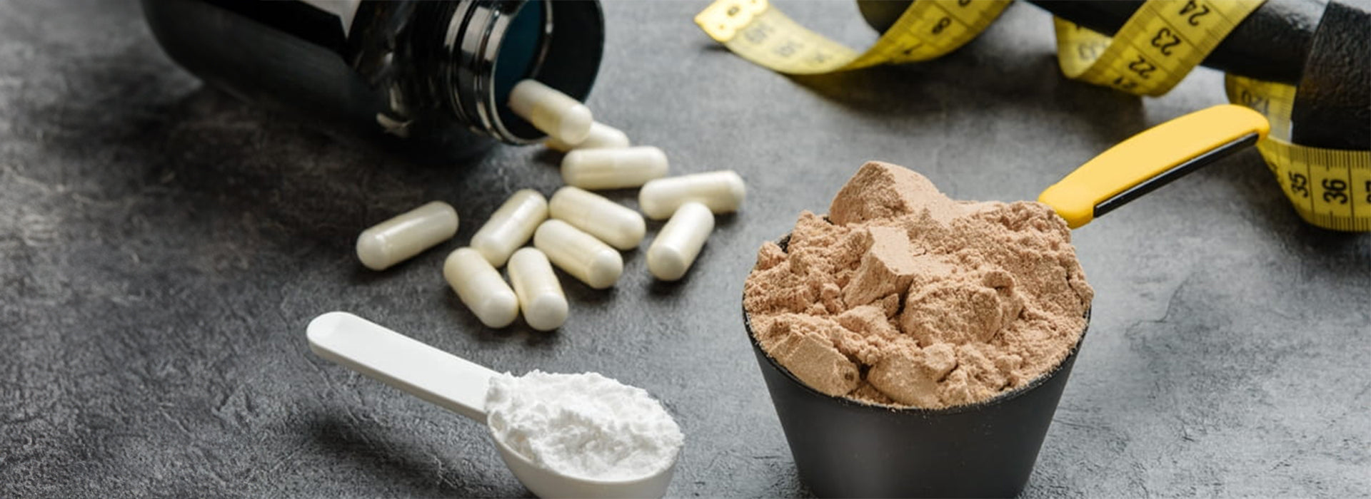 Protein Supplements