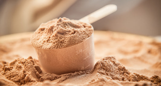 All you need to know about protein powders
